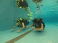 /album/fotogaleria-cursos-de-buceo/a11935-531329870241447-100725588-n-jpg/