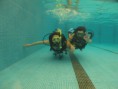 /album/fotogaleria-cursos-de-buceo/a69072-531330383574729-1248559461-n-jpg/