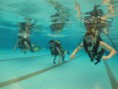 /album/fotogaleria-cursos-de-buceo/a254563-451811061526662-1250179049-n-jpg/