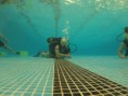/album/fotogaleria-cursos-de-buceo/a315520-531329590241475-184041863-n-jpg/
