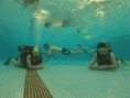 /album/fotogaleria-cursos-de-buceo/a558879-531329570241477-794757810-n-jpg/